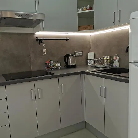 Dunavska Flat Novi Sad